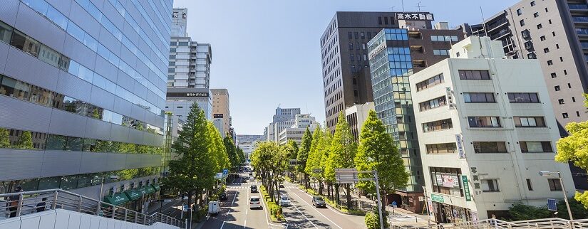 Practical Guide to Real Estate Transactions in Japan